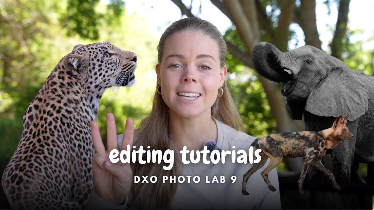DxO Photo Lab 9 Editing Tutorial - Wildlife Photography