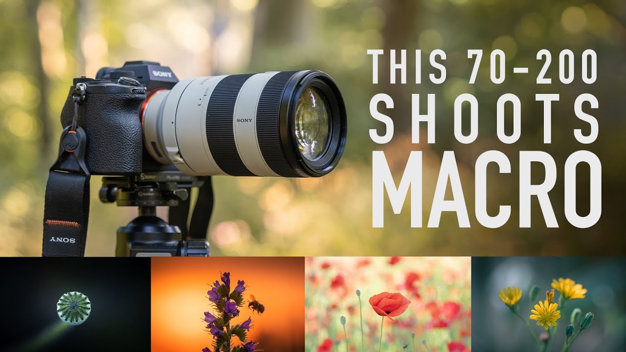 The Sony 70-200 f/4 Macro for Nature and Landscape Photography!