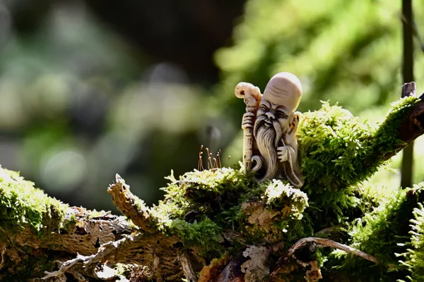 Lao Tse in de Morvan II