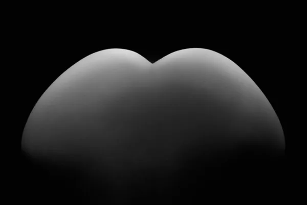Moodboard Bodyscape