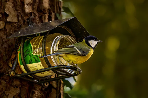 20260315-Meesje-MAC00325