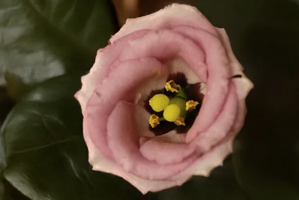 20241019-FS-mac1362-mac1363