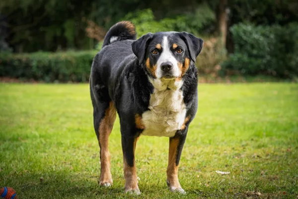 20260331-Gaby-MAC00006-1