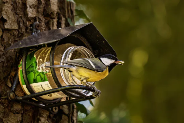 20260315-Meesje-MAC00317