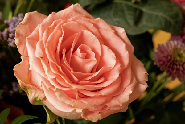 20241020-FS-mac1606-mac1609