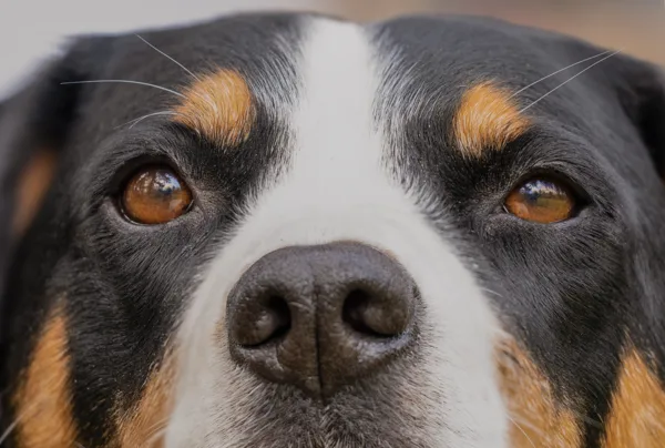 20260331-FS-Gaby-MAC0004-en-MAC0005