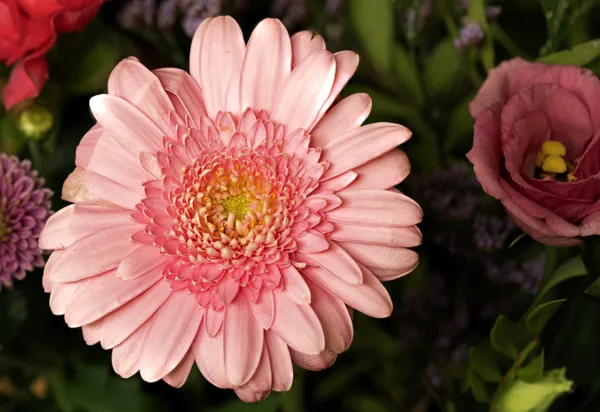 20241020-FS-mac1549-mac1562