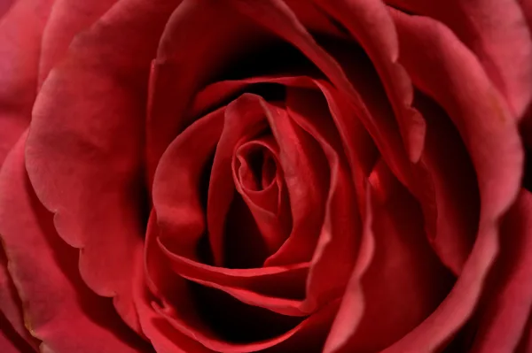 20241018-FS-mac1294-mac1300