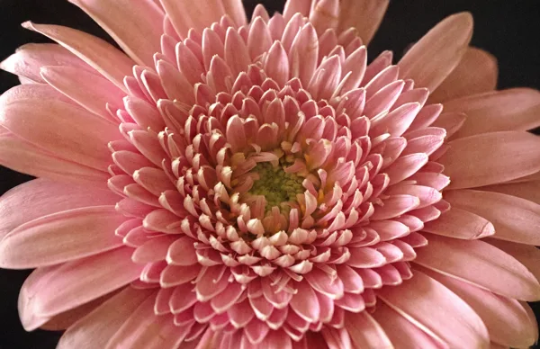 20241019-FS-mac1403-mac1408