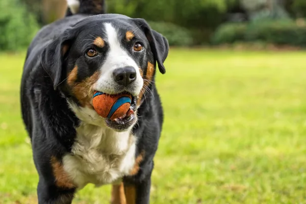 20260331-Gaby-MAC00943-1