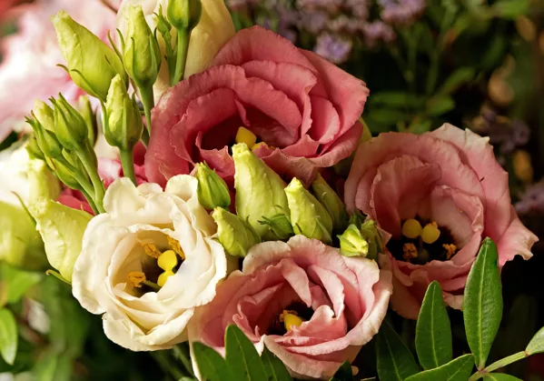 20241020-FS-mac1578-mac1588