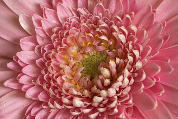 20241019-FS-mac1325-mac1327