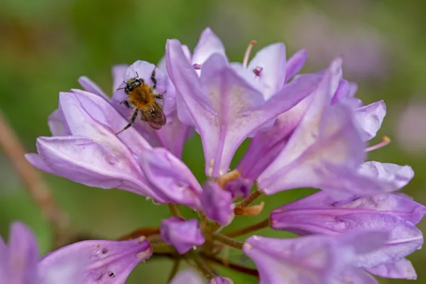 20220608-DSC03337-arw