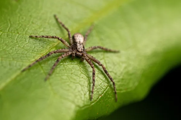 20250906-Spin-MAC00396