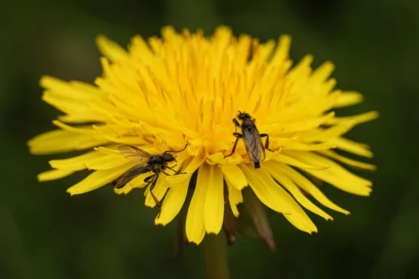 20260418-FS-1351-1354-1