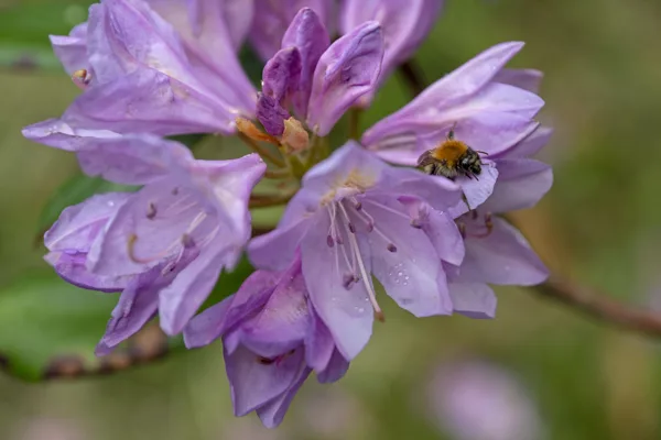 20220608-DSC03342-arw