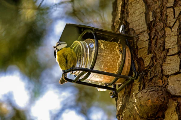 20260315-Meesje-MAC00056