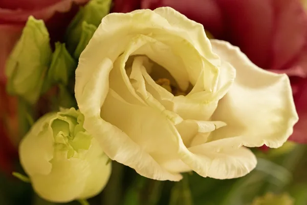 20241020-FS-mac1628-mac1634