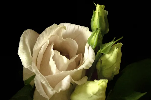 20241019-FS-mac1399-mac1402