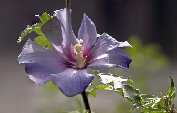 20220916-FS-3001-3003