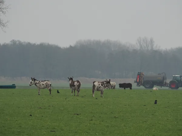 Rondom ons dorp: Nieuwehorne [Fr ]