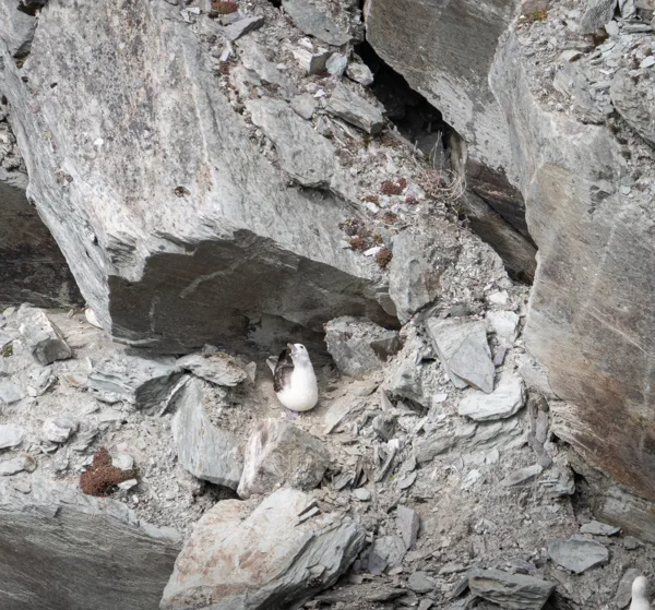 Doora Cross (Cliffs of Kerry)