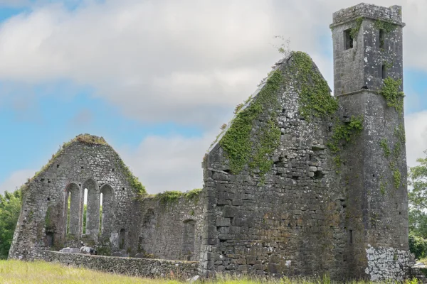 Quinn Abbey