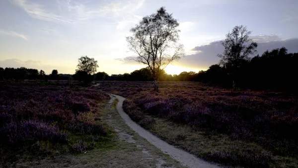 Landschap