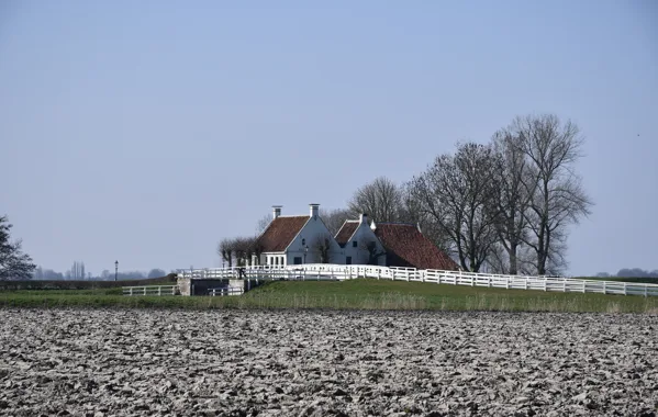 De mooiste foto