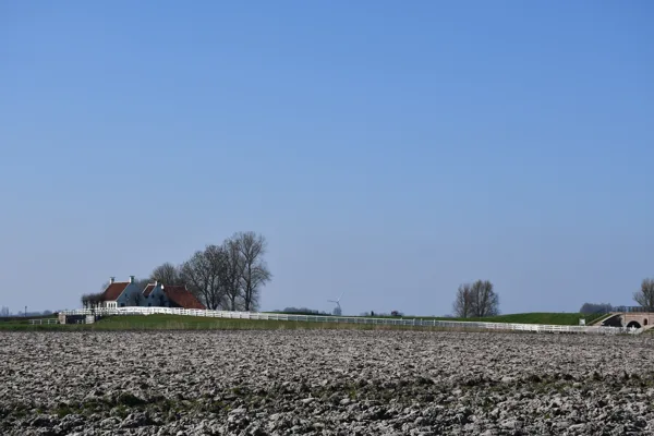 Houwerzijl