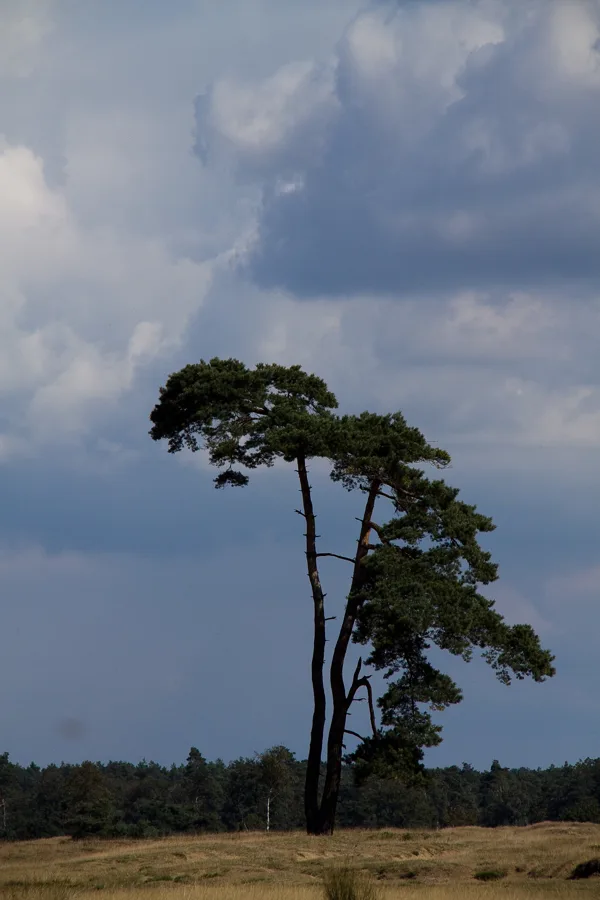 2013 09 12_6396_bewerkt-1