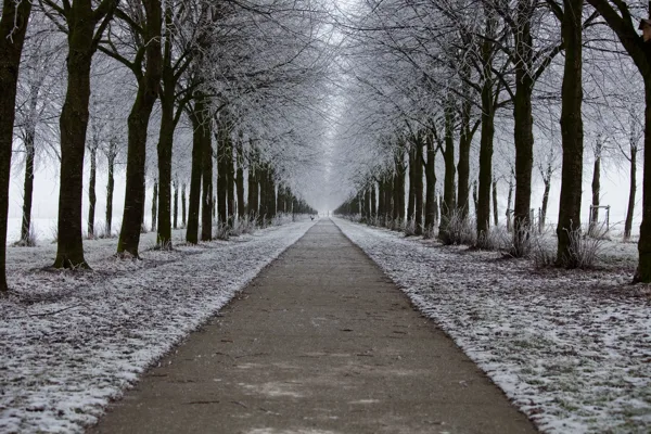 Laan van Nittersum winter