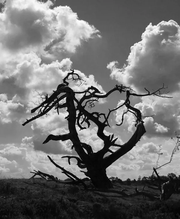 2013 09 12_6406_bewerkt-1