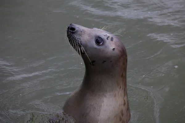 2015 07 13_4665_bewerkt-1