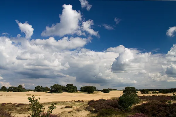 2013 09 12_6414_bewerkt-1