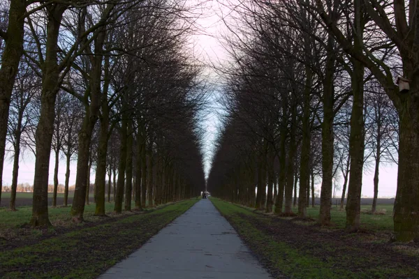 Laan van Nittersum voorjaar