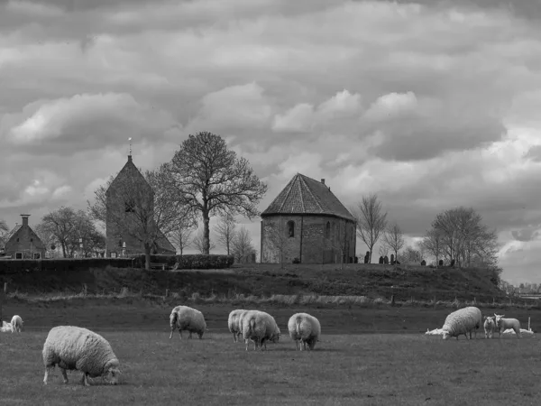 2015 05 02_3068 crop