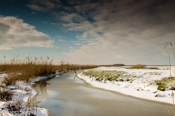 2015 02 05_1763_bewerkt-1