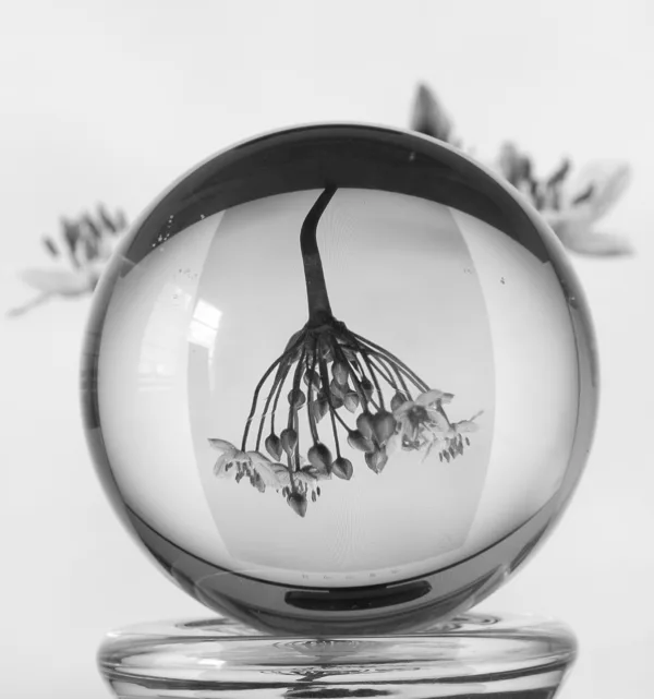 Lensbal