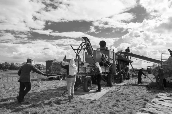 Ols school farming