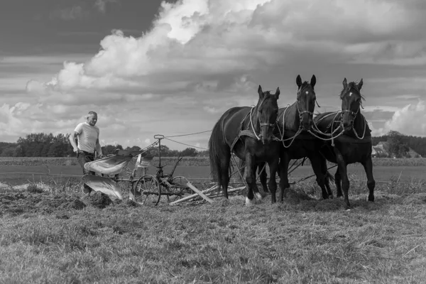Old school farming