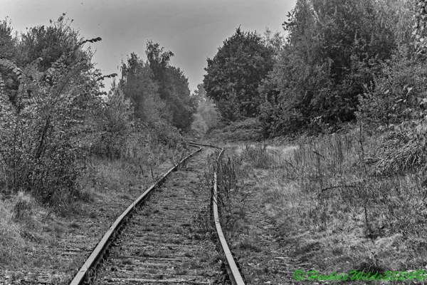 IMG_2492 bbbb Oude spoorlijn Star Stadskanaal