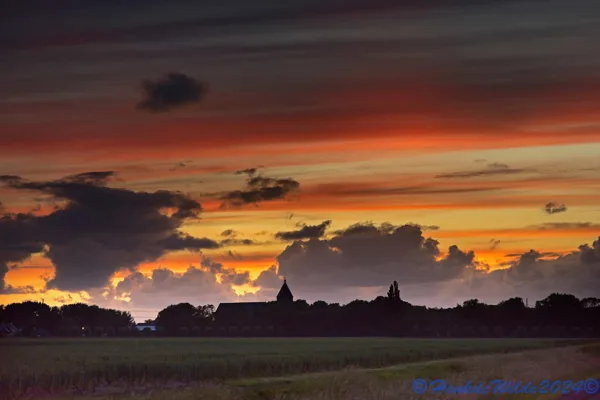 DSC_5311 Riepsterlicht bij Zeerijp