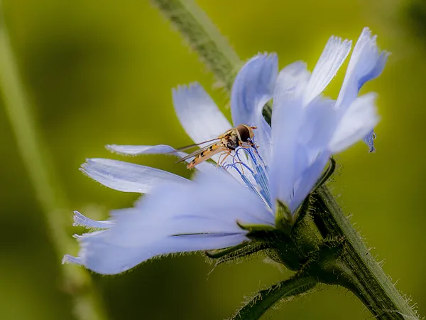 © Terry Benjamins 16 mei 2026-3472