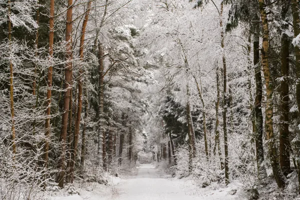 2026_Winter_Duitsland