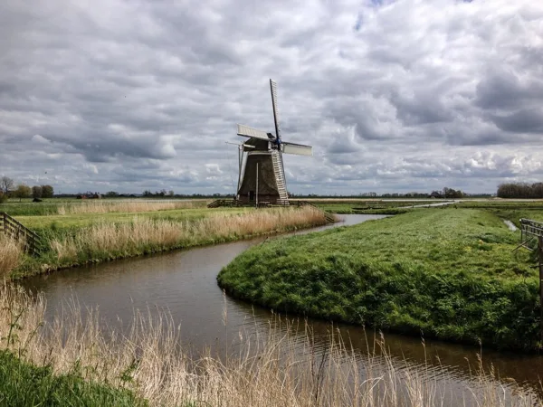Molen 'de Meervogel' te Hoeksmeer