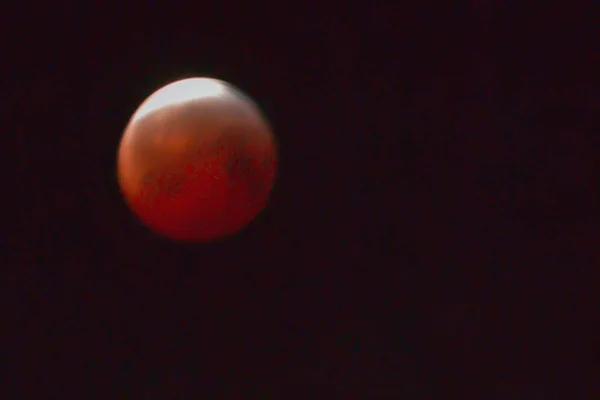 Bloedmaan 1