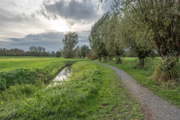 Paadje in Opwierde 1