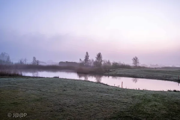 Ochtendnevel-Steendam-2518