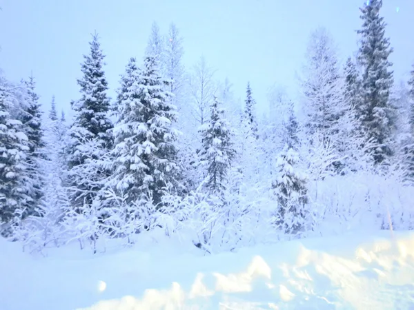 2025 Magisch Lapland